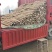 九斤黄山药【平台合作优质商家】专业种植户源头无差价，私聊