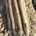 九斤黄山药【平台合作优质商家】专业种植户源头无差价，私聊