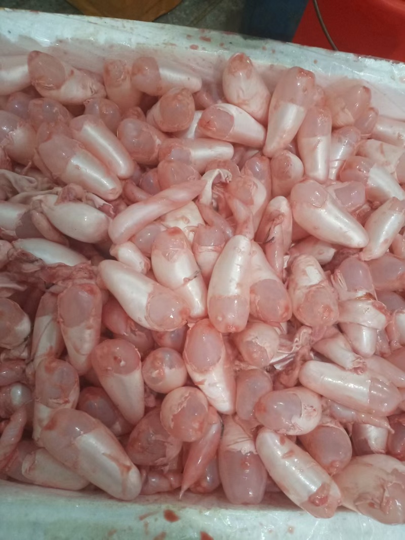 湖北白鲢鱼泡新鲜鱼泡工厂直供现货批发