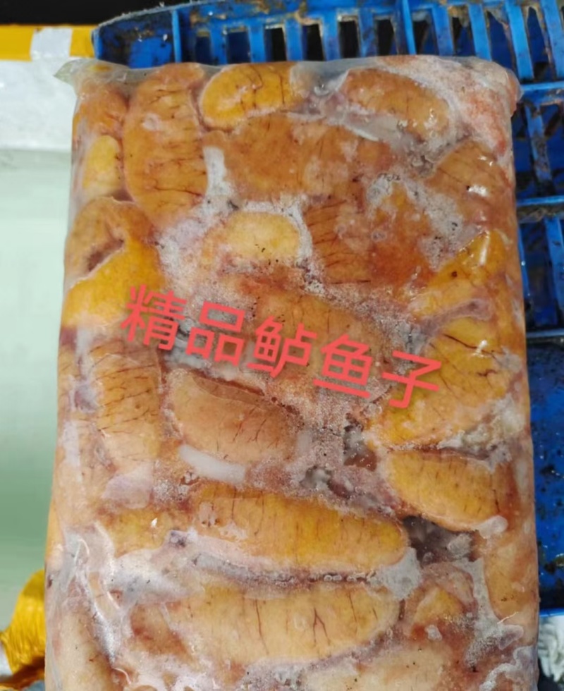 鲈鱼籽批发鲜鲈鱼籽冻鲈鱼籽工厂直发