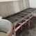 胥龙粉丝