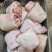 纯干货猪肘肘子猪前肘猪蹄20斤，前肘大肘子，量大谈价