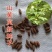 新采山茱萸种子中药材种子红衣仙子种子山萸肉山芋肉山于肉