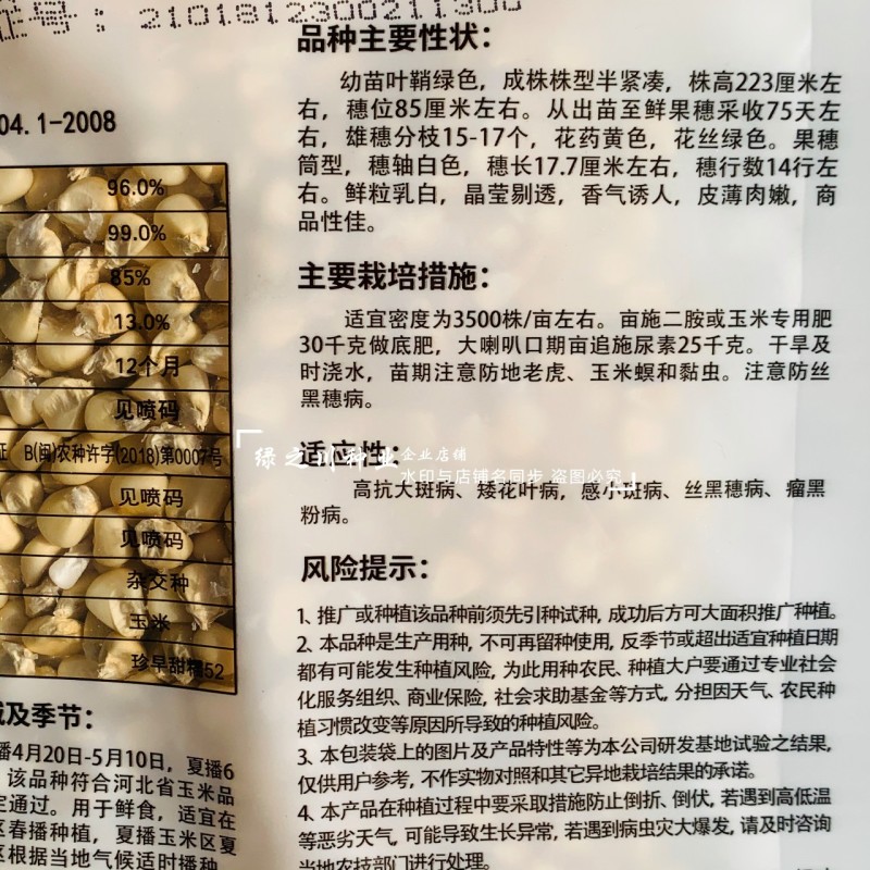珍早甜糯52矮杆糯玉米种子高产鲜食玉米种子早熟皮薄大棒