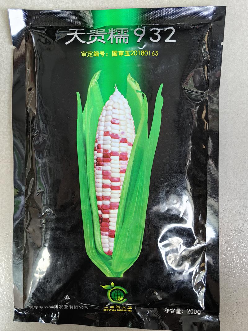 天贵糯932玉米种子国审彩甜糯大棒甜加糯彩色糯粘软玉米种
