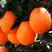 【畅销榜】纽荷儿脐橙规格齐全量大从优外贸平台有售