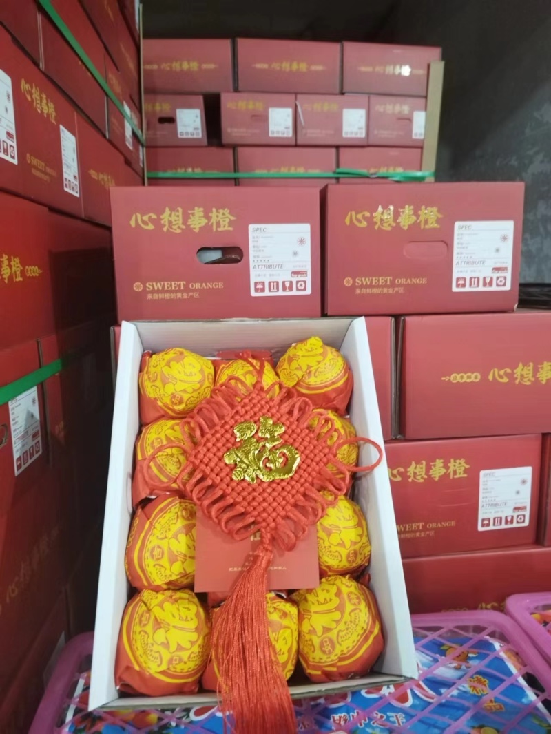 湖北纽荷尔脐橙大量上市，水分充足，口感香甜可口