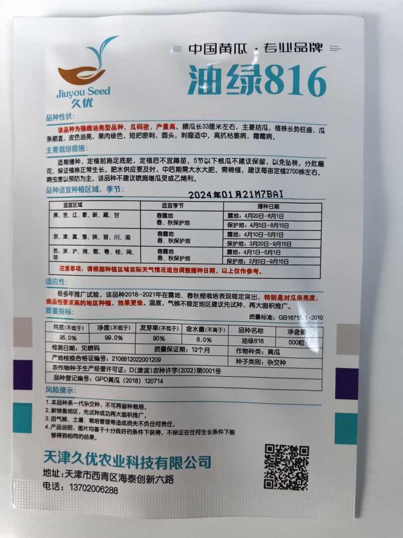 油绿816黄瓜种子黑油亮强雌春秋大棚短把密刺高产绿肉黄瓜