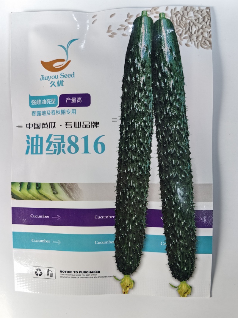 油绿816黄瓜种子黑油亮强雌春秋大棚短把密刺高产绿肉黄瓜