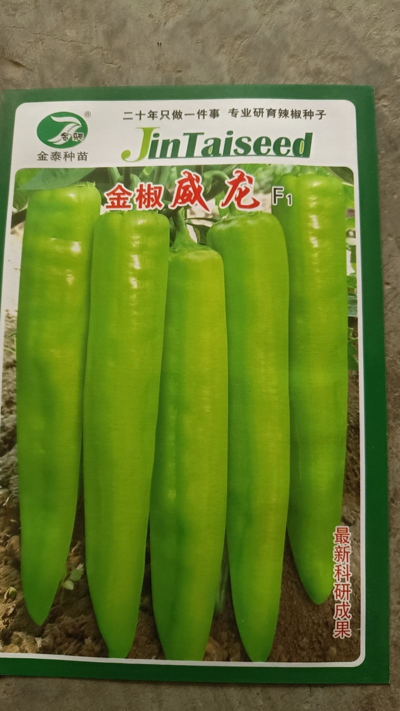 【精品苗】辣椒苗羊角椒苗黄皮羊角椒苗，青皮羊角椒苗