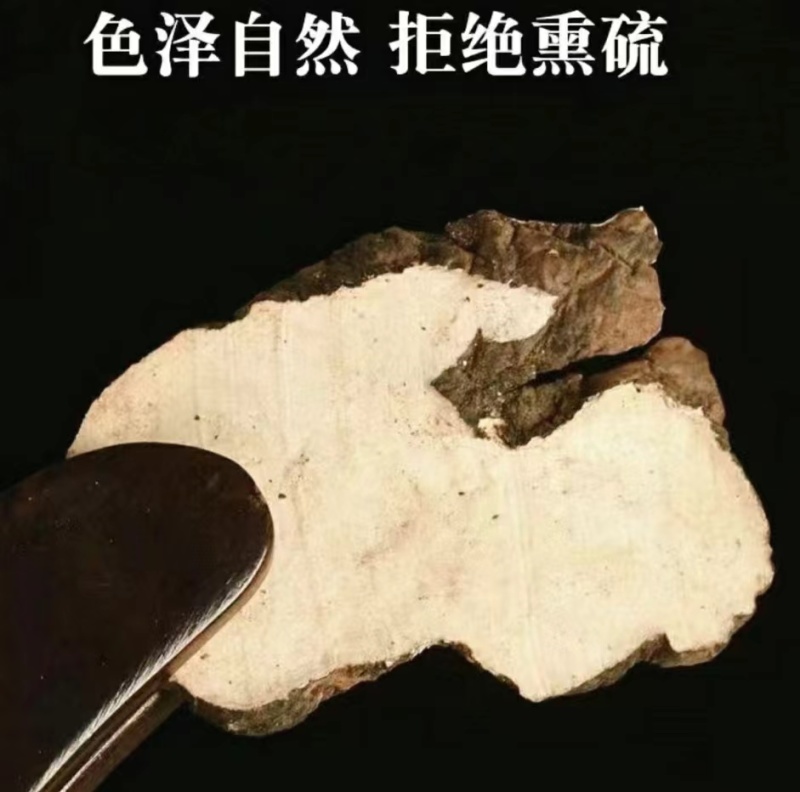 猪苓道地中药材猪苓片干净无杂道地品质保质保量包邮