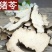 猪苓道地中药材猪苓片干净无杂道地品质保质保量包邮