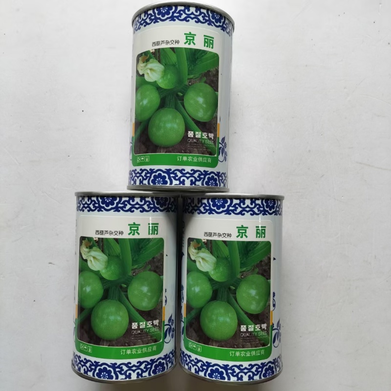 京丽京绿西葫芦种子早熟无蔓小南瓜种子圆球型嫩瓜青瓜节瓜