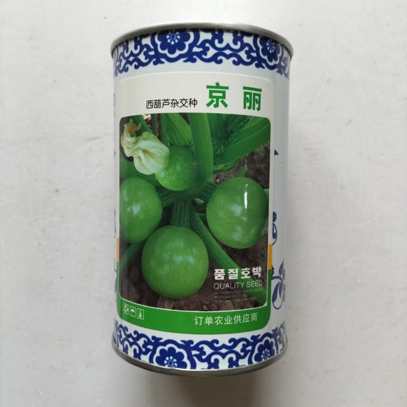 京丽京绿西葫芦种子早熟无蔓小南瓜种子圆球型嫩瓜青瓜节瓜