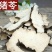 道地中药材猪苓手工切片干净无杂道地品质质量保证包