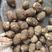 《毛芋头8520》山东芋头基地发货按需加工保质保量全国发货