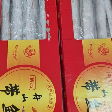 舟山带鱼礼盒带鱼