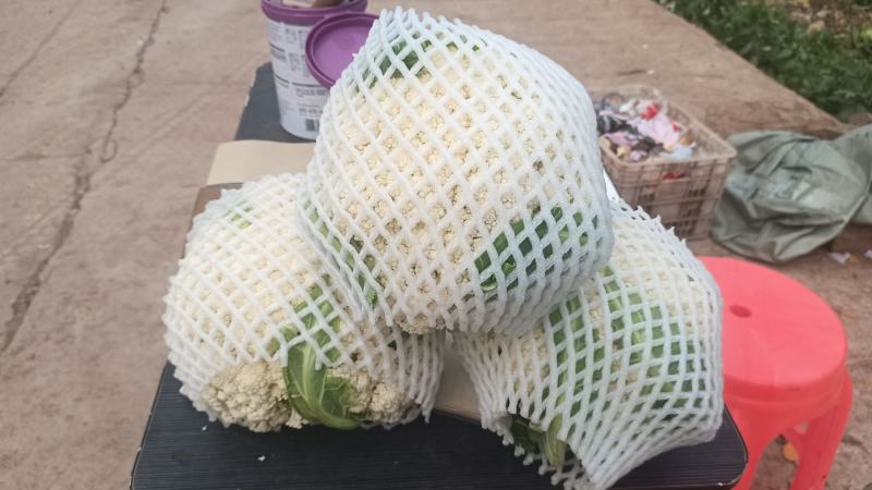花菜