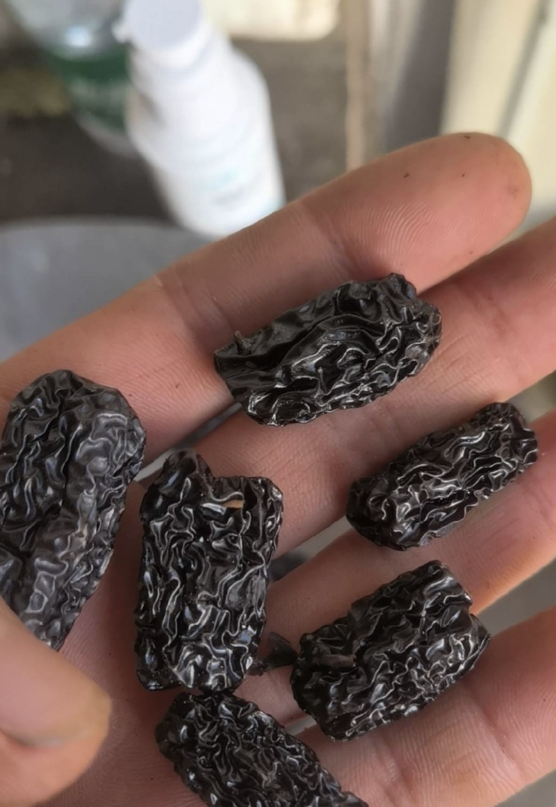 黑枣，水晶枣，新货无硫，实拍现货，24小时内发货