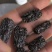 黑枣,水晶枣,新货无硫,实拍现货,24小时内发货