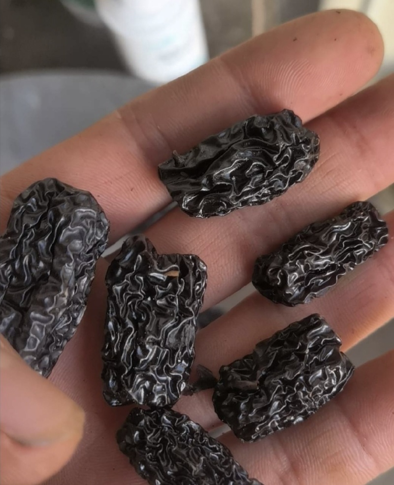 黑枣，水晶枣，新货无硫，实拍现货，24小时内发货