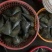 带子，又名绿贝，大中小规格，肉质肥美！粉丝带子