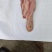 牛舌