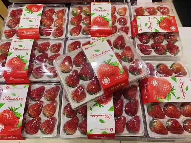【妙香草莓】徐州草莓基地直发品质保证一手货源价格优惠来电
