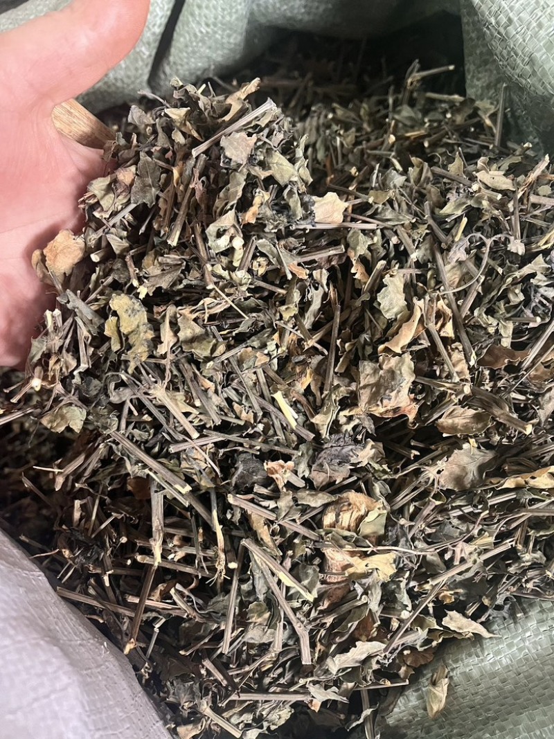 红丝线中药材红丝线切段