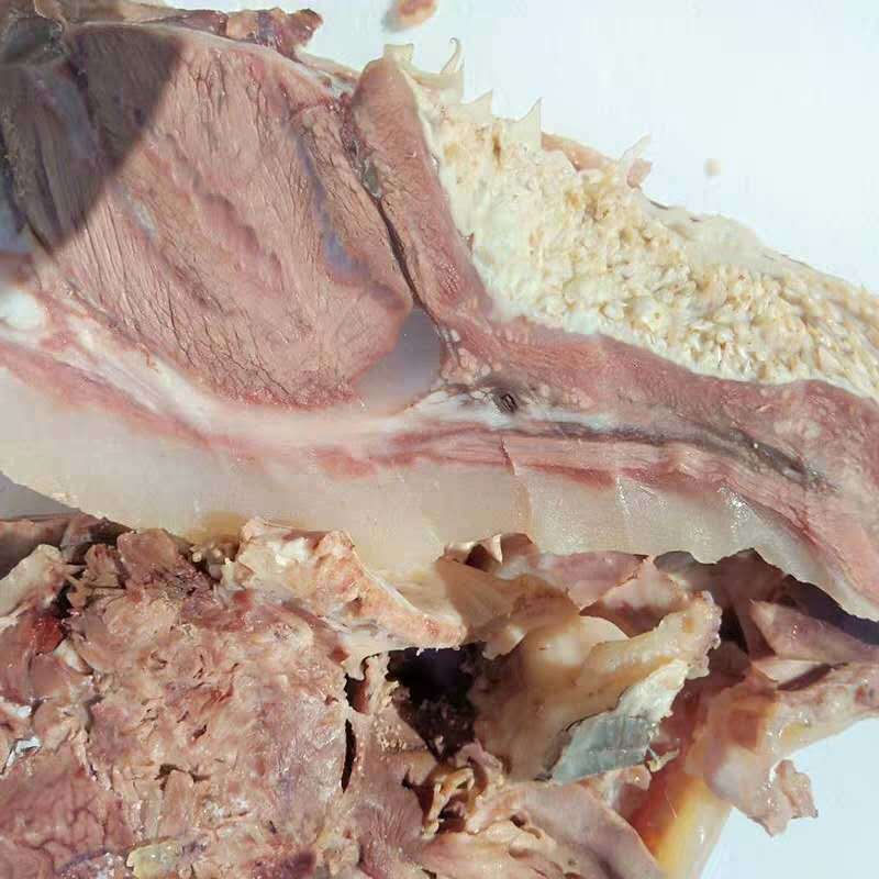 熟牛头肉大量有货熟食牛头肉欢迎有需要的客户联系量大从优