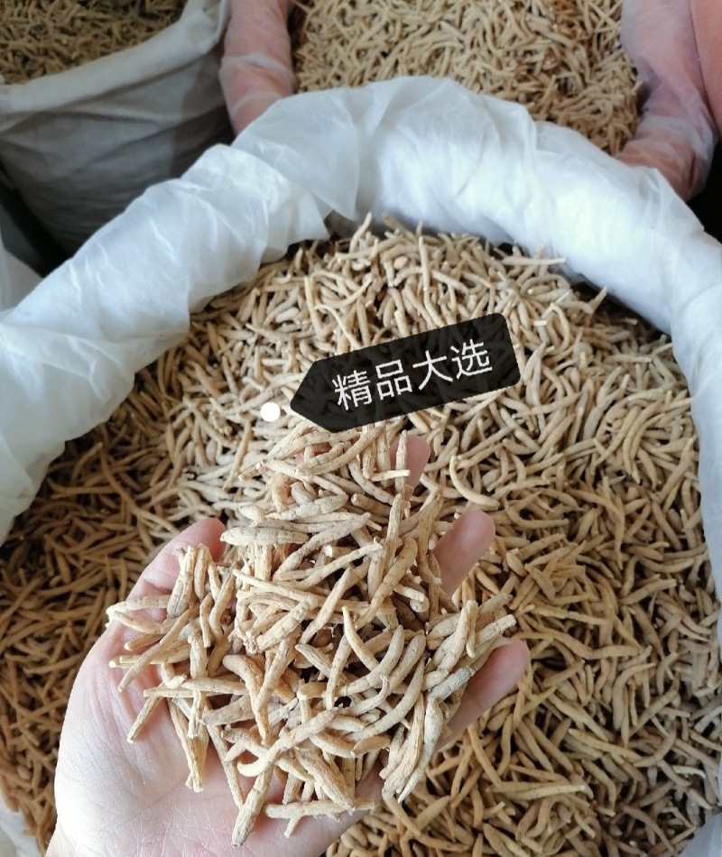 源头发货太子参孩儿参中药根茎无硫不添加人工挑选
