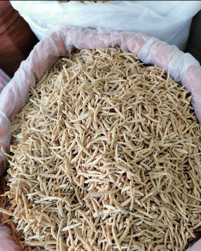 源头发货太子参孩儿参中药根茎无硫不添加人工挑选