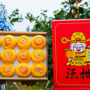 沃柑上市中，支持线上线下一件代发，你可以全程托管