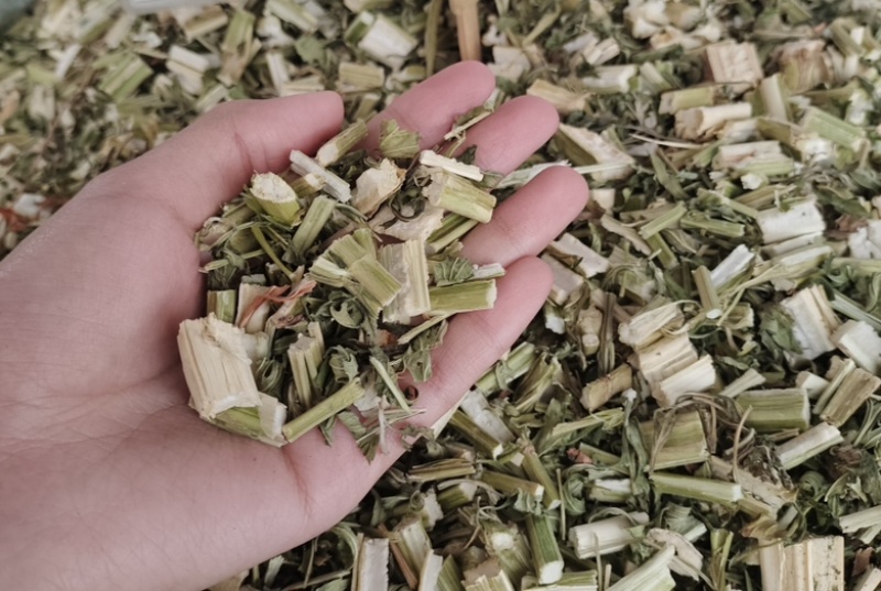 批发益母草
