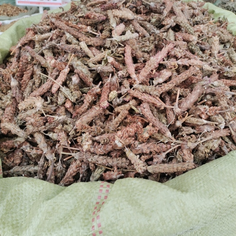 批发夏枯球