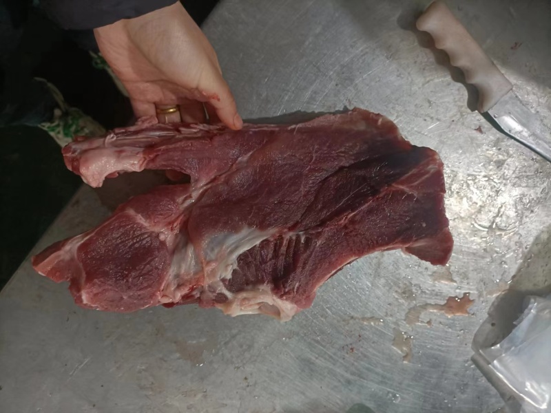 母猪多肉尾叉骨带肉30%新货手续齐全厂家直发量大价优