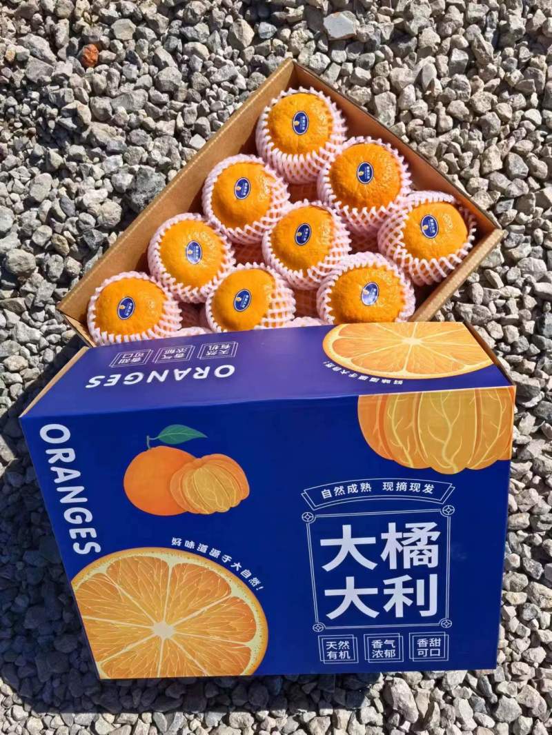 【一件代发】高原沃柑精美礼盒装送礼优选精品商超品质