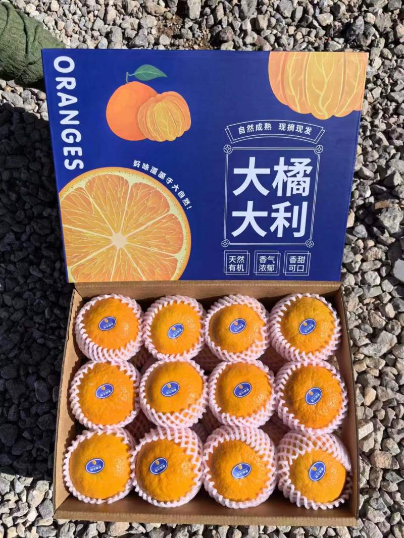 【一件代发】高原沃柑精美礼盒装送礼优选精品商超品质