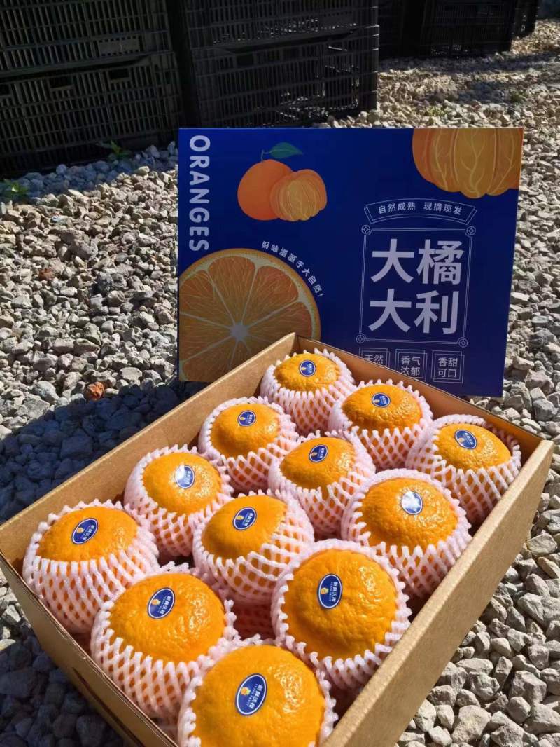 【一件代发】高原沃柑精美礼盒装送礼优选精品商超品质