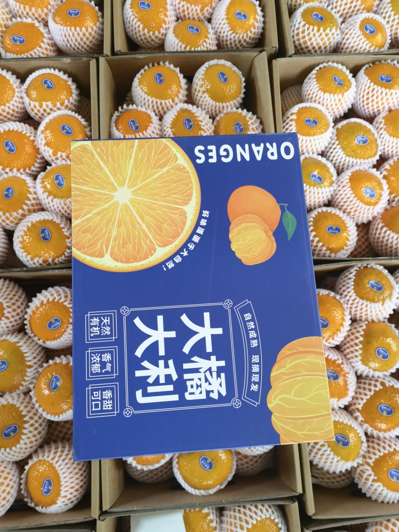 【一件代发】高原沃柑精美礼盒装送礼优选精品商超品质