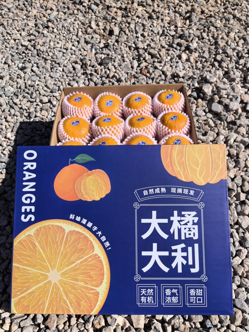 【一件代发】高原沃柑精美礼盒装送礼优选精品商超品质