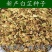 出售散装白芷种子新采当年纯新中药材白芷包邮川白芷祁白芷种