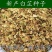 出售散装白芷种子新采当年纯新中药材白芷包邮川白芷祁白芷种