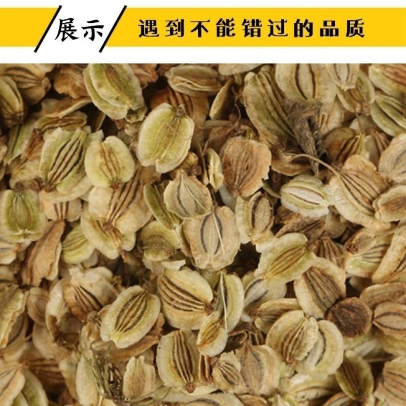 出售散装白芷种子新采当年纯新中药材白芷包邮川白芷祁白芷种