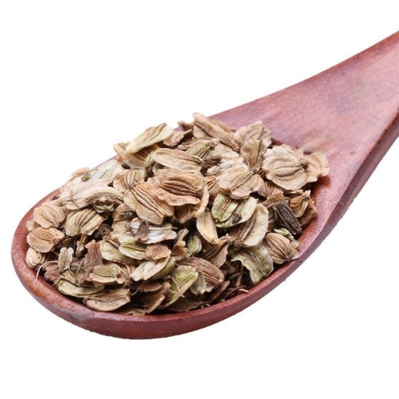 出售散装白芷种子新采当年纯新中药材白芷包邮川白芷祁白芷种