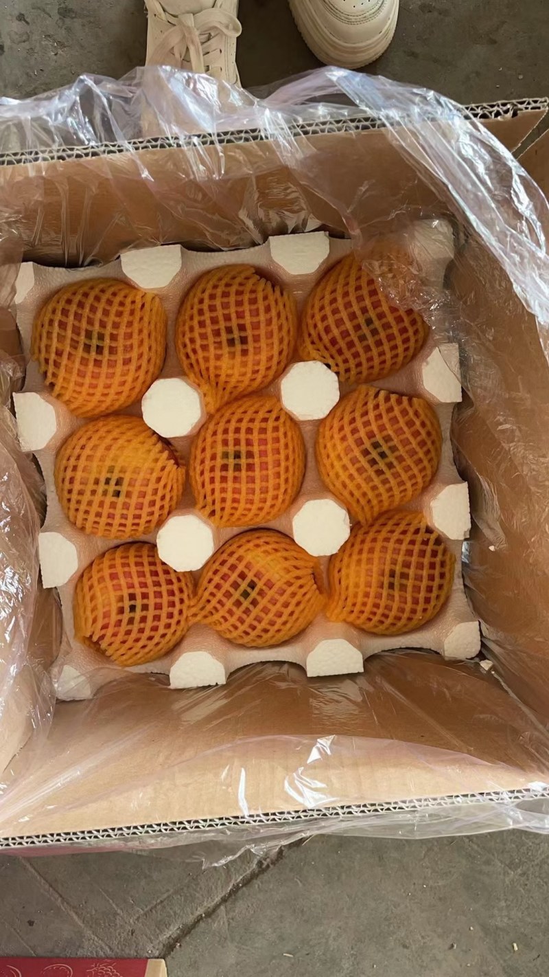 陕西红富士高原苹果价格合适大量走货