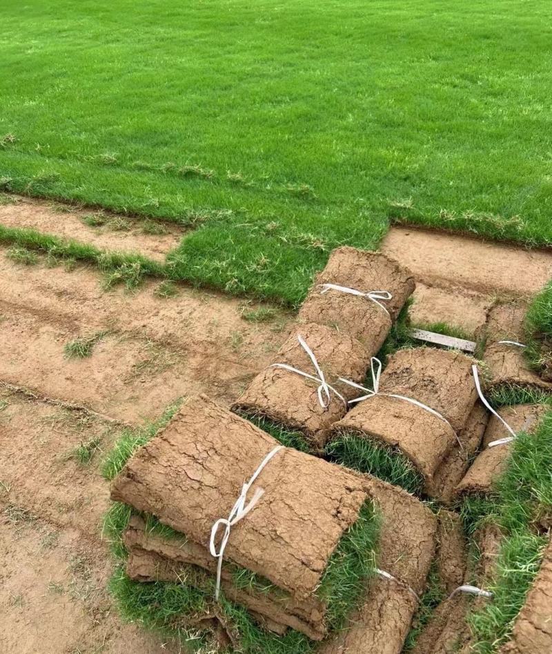 精品百幕大基地直发小区庭院工程绿化欢迎来电咨询
