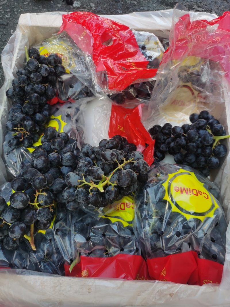 秘鲁玫瑰香黑提广州江南直发黑加仑果