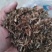荆门钟祥干雪里红碎梅干菜切段8成干资质齐全常年供货承接加工