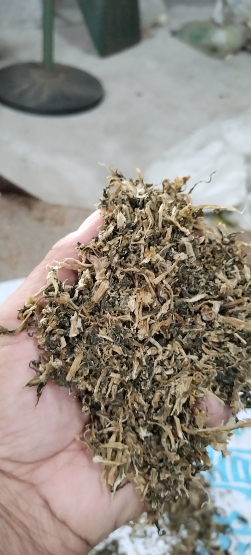 荆门钟祥干雪里红碎梅干菜切段8成干资质齐全常年供货承接加工